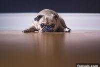 5 Essential Insights You Can’t Miss