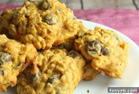 Harvest Pumpkin Oat Chocolate Chip Delights