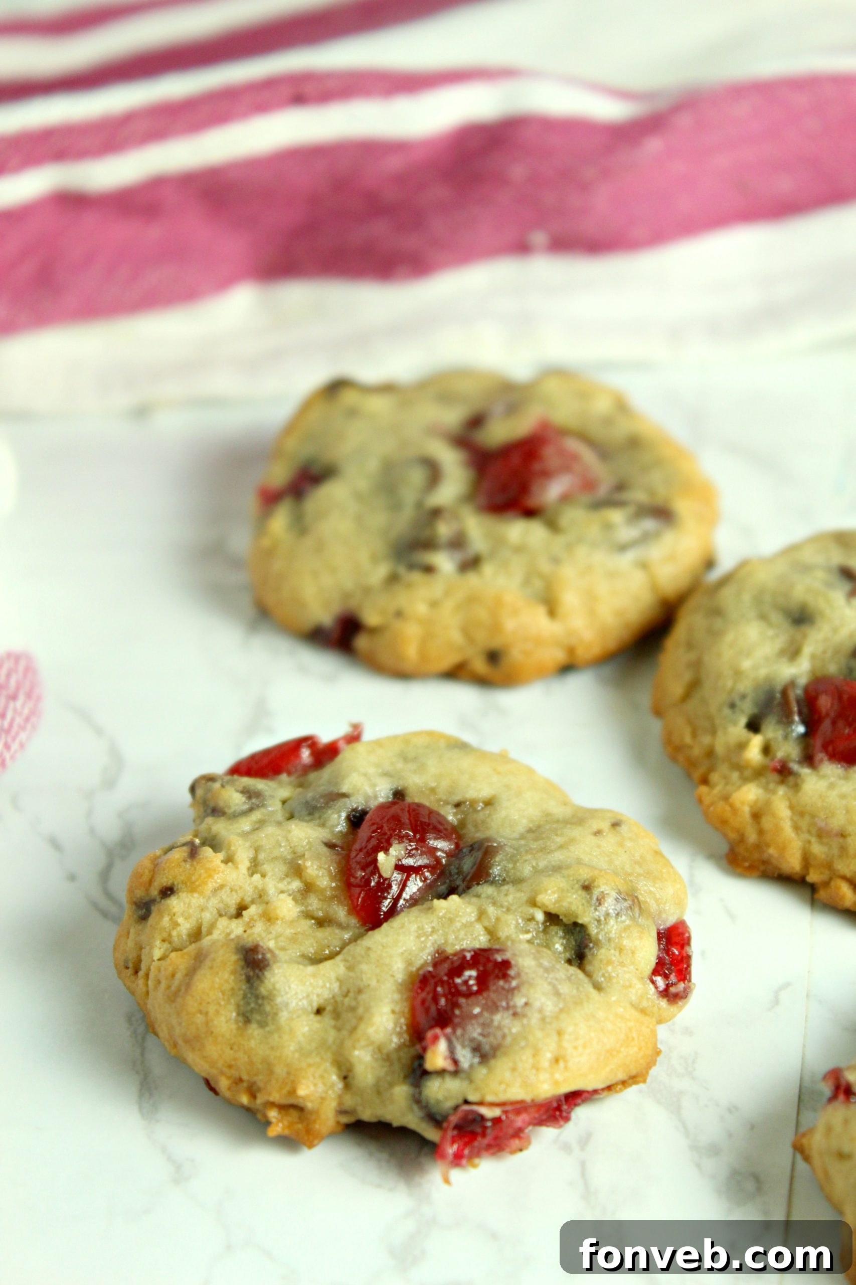 Hand holding a delicious Cherry Garcia Cookie with visible chocolate and cherry pieces
