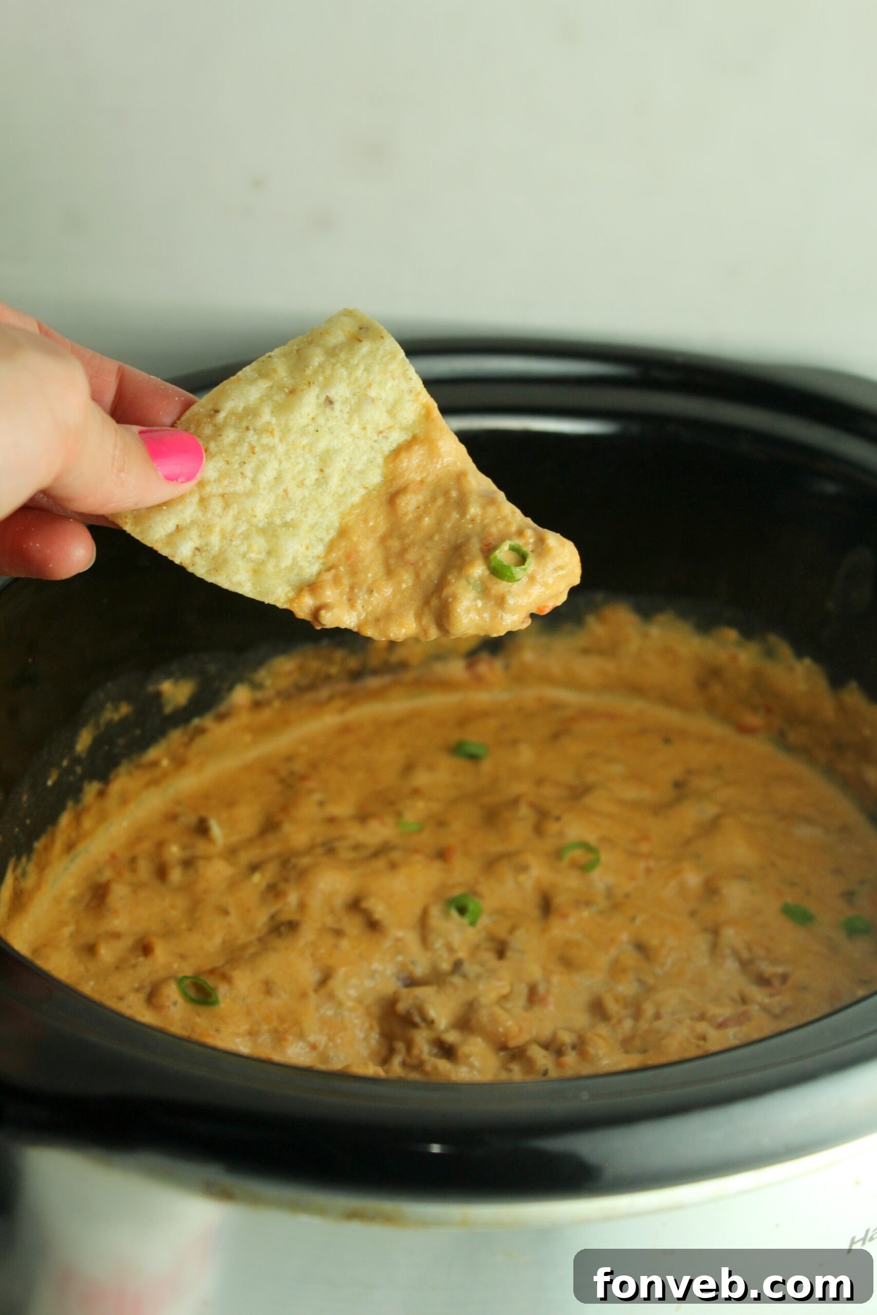 Assorted chips ready to serve with warm taco dip