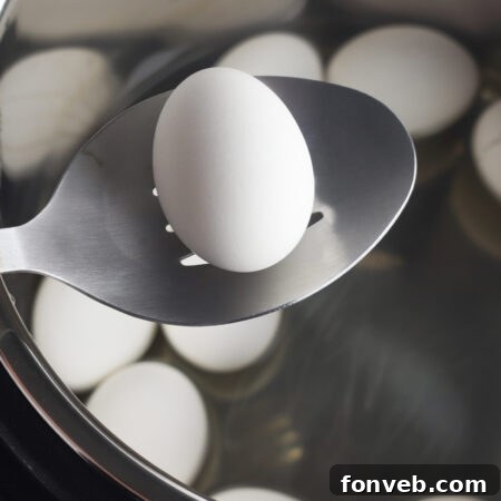 Instant Pot Hard Boiled Eggs