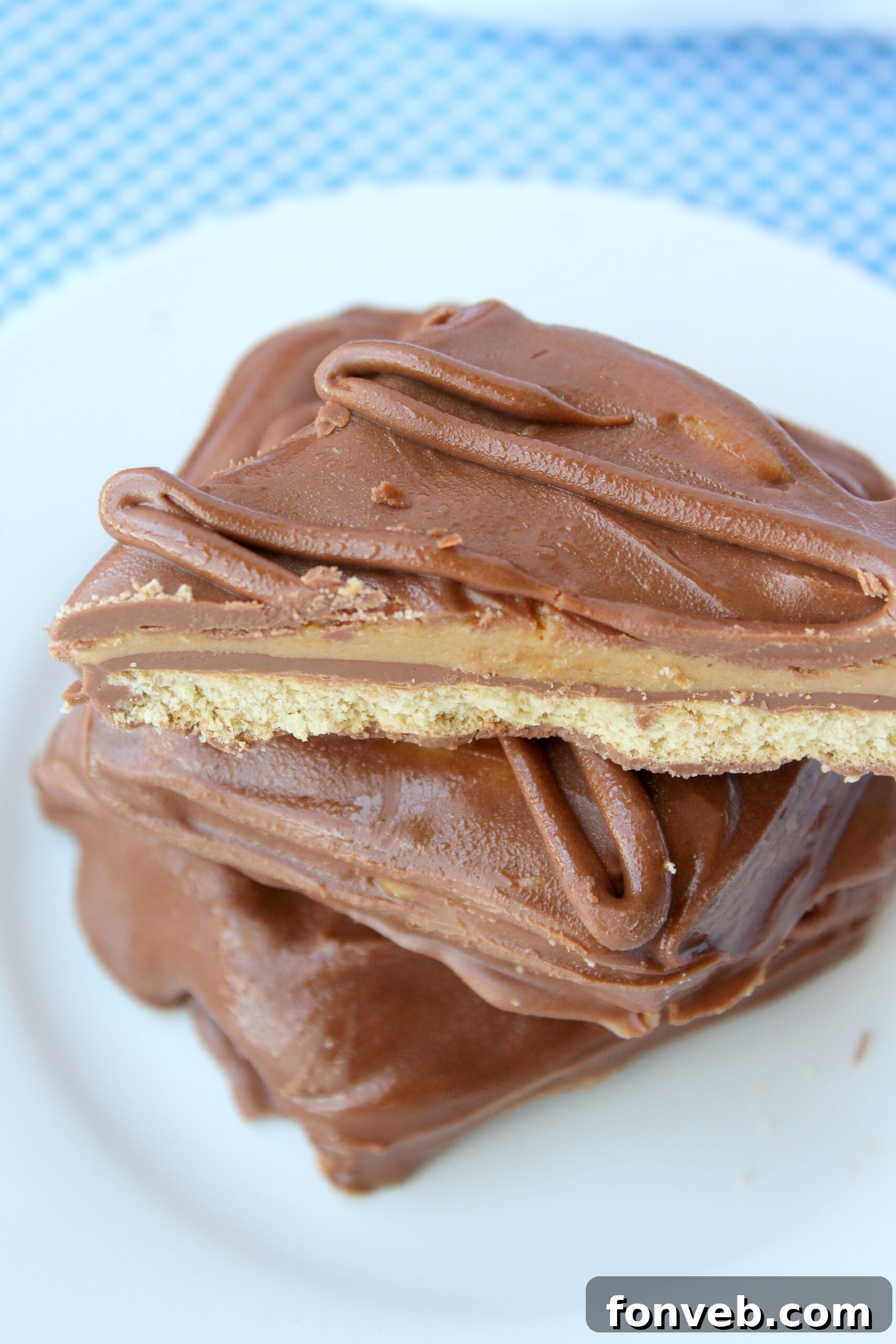 A hand holding a Disney copycat chocolate peanut butter sandwich, ready for a bite