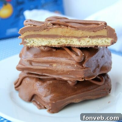 Disney Copycat Chocolate Peanut Butter Sandwiches - Final Product