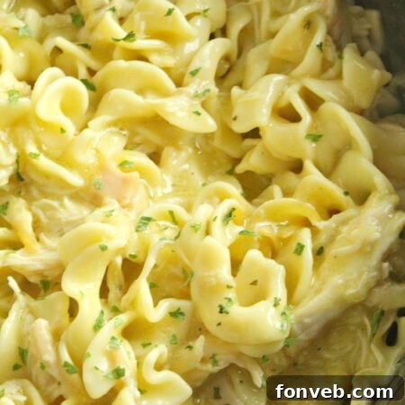 Slow Cooker Chicken and Noodles, a circular image showcasing the dish.