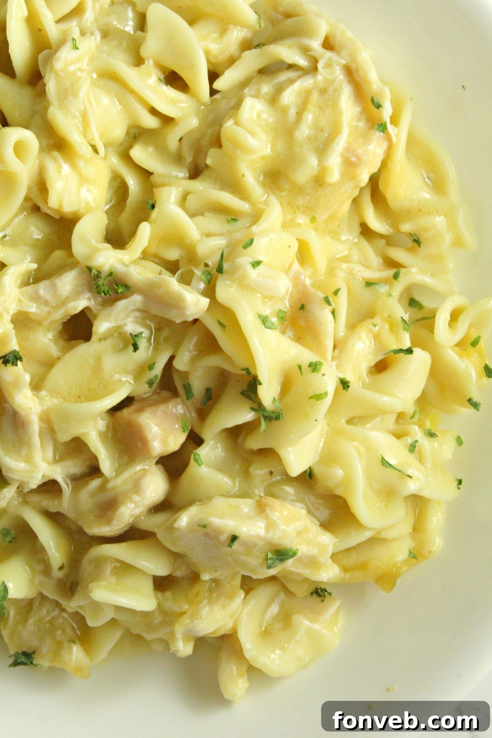 Slow Cooker Chicken and Noodles served on a pristine white plate, garnished with fresh herbs, ready to be enjoyed.