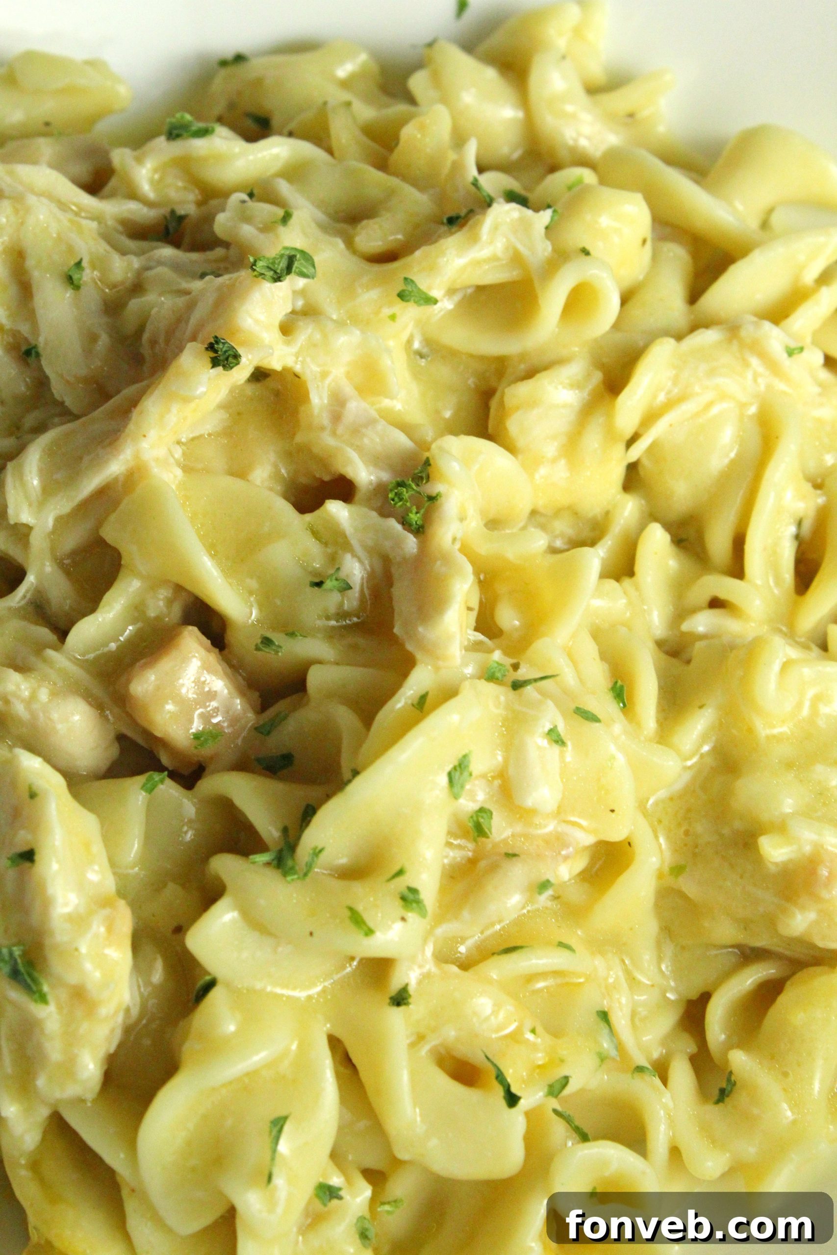 Close-up shot of the rich, creamy Slow Cooker Chicken and Noodles texture in a bowl, ready to be eaten.