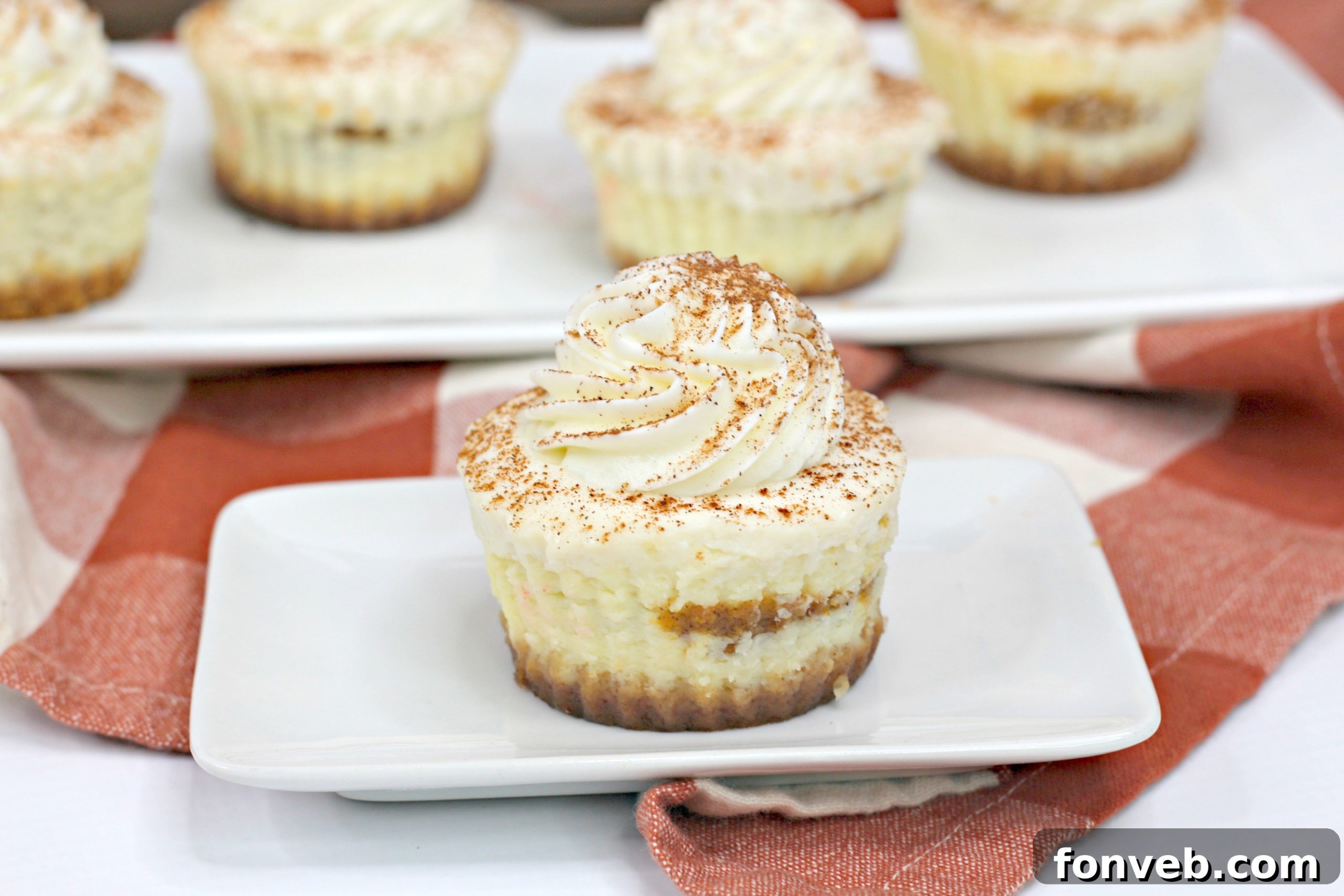 Close-up of a Pumpkin Swirl Cheesecake showing the beautiful marbled pattern of pumpkin and cheesecake, topped with whipped cream