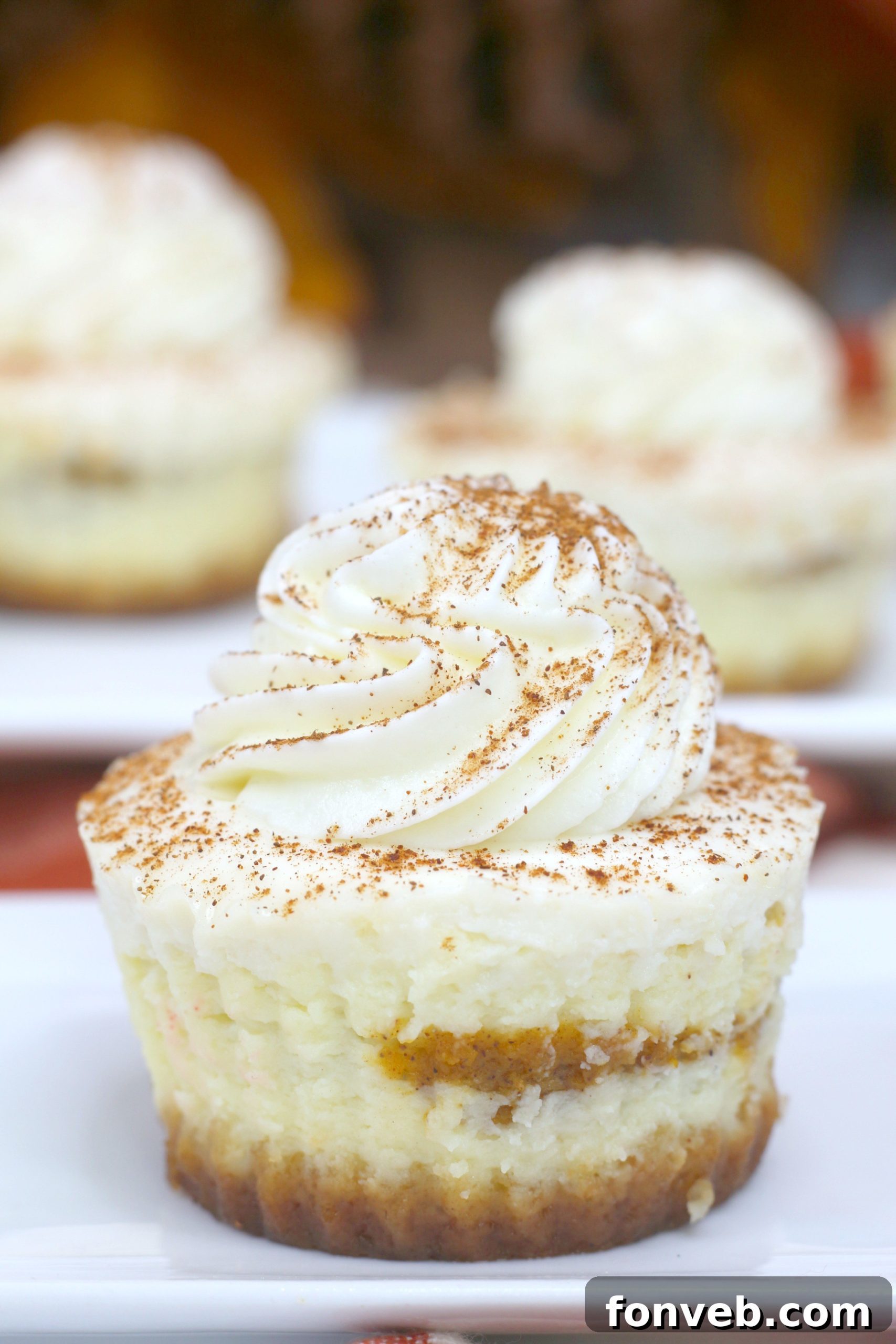 A tray of freshly baked Pumpkin Swirl Cheesecakes in individual liners, ready to be chilled
