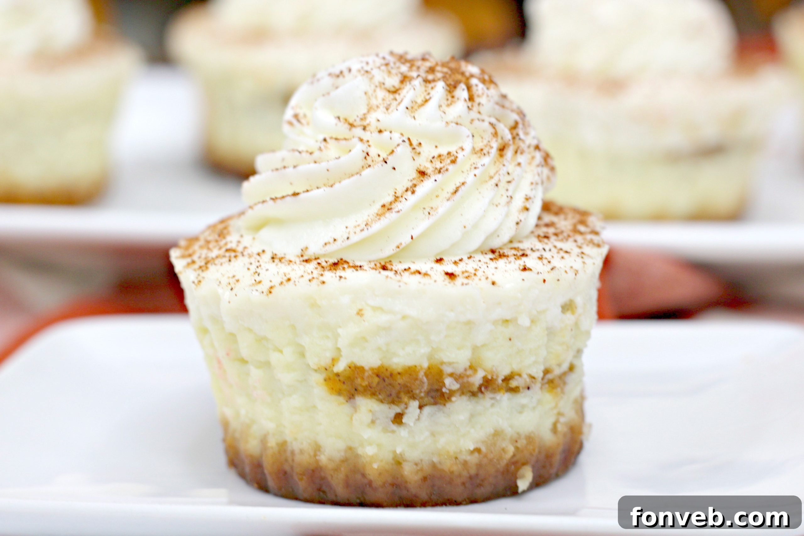 A close-up shot of a single Pumpkin Swirl Cheesecake, emphasizing its smooth texture and perfect swirl pattern