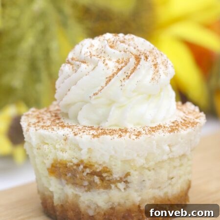 Beautifully presented Pumpkin Swirl Cheesecakes