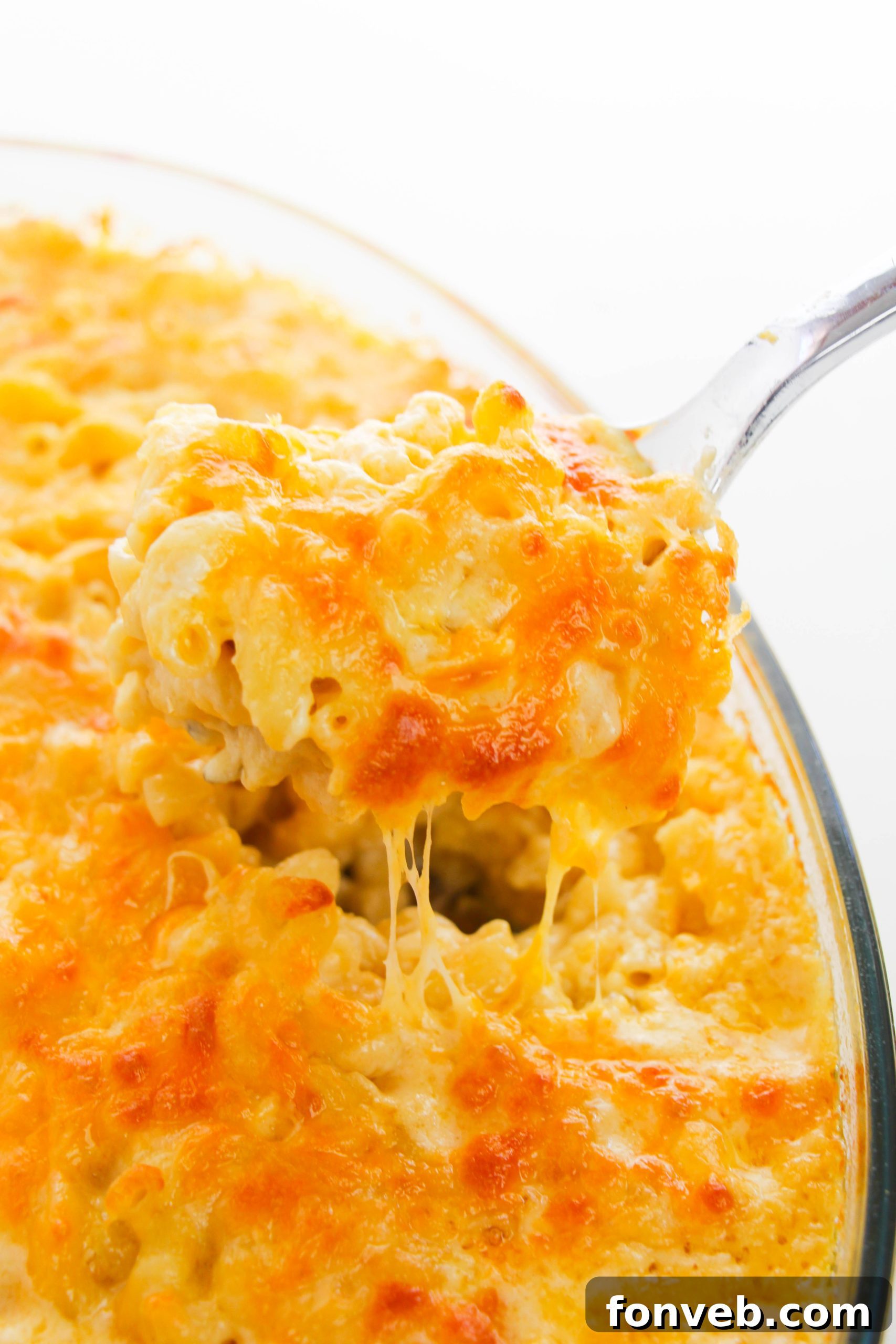 A close-up view of the rich, creamy, and bubbly interior of baked macaroni and cheese, showing its cheesy texture
