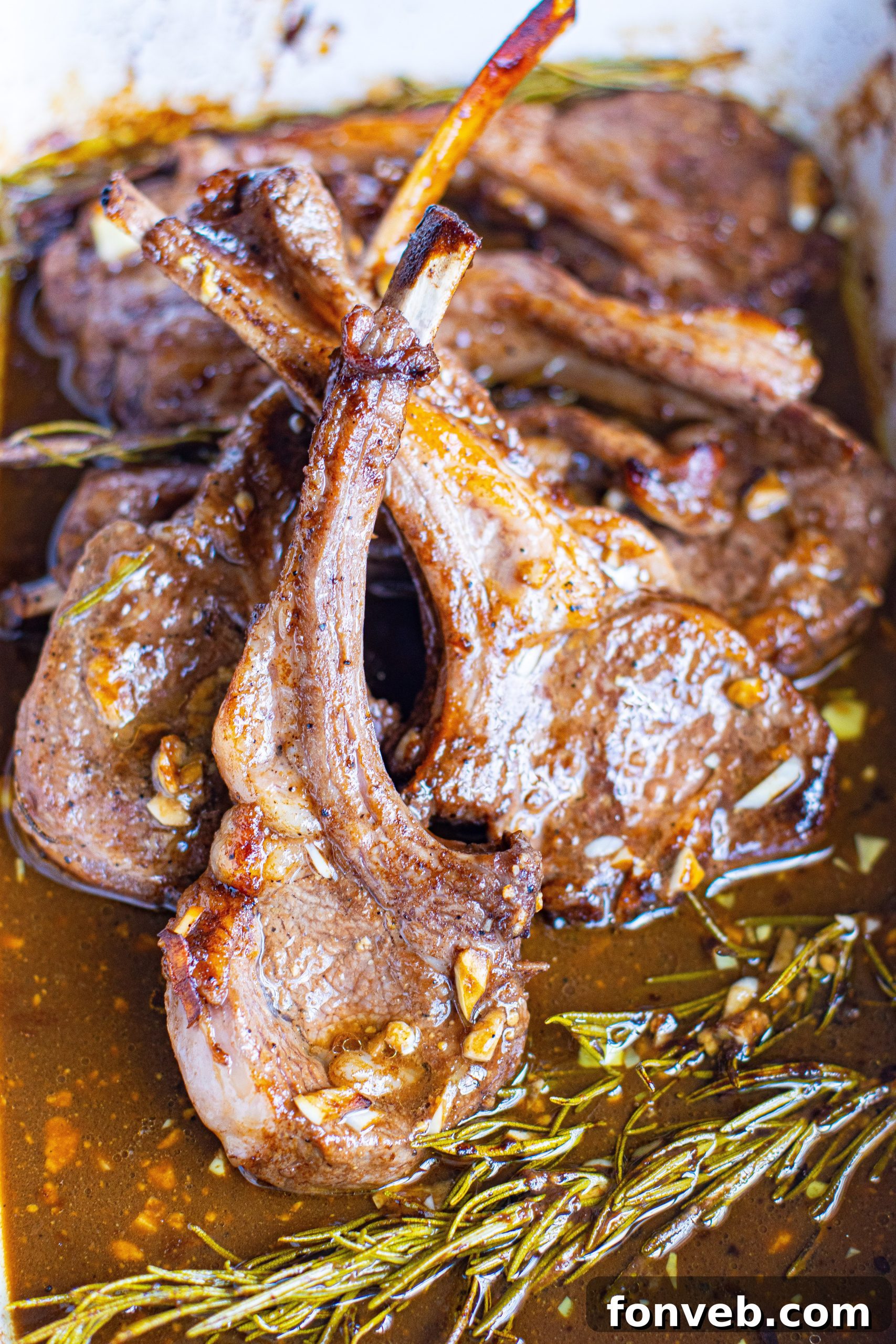 Perfectly seared balsamic garlic lamb chops on a white plate, garnished with fresh rosemary