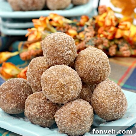 Pumpkin Snickerdoodle Donut Holes