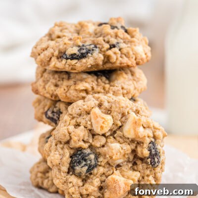 Oatmeal Raisin Cookies