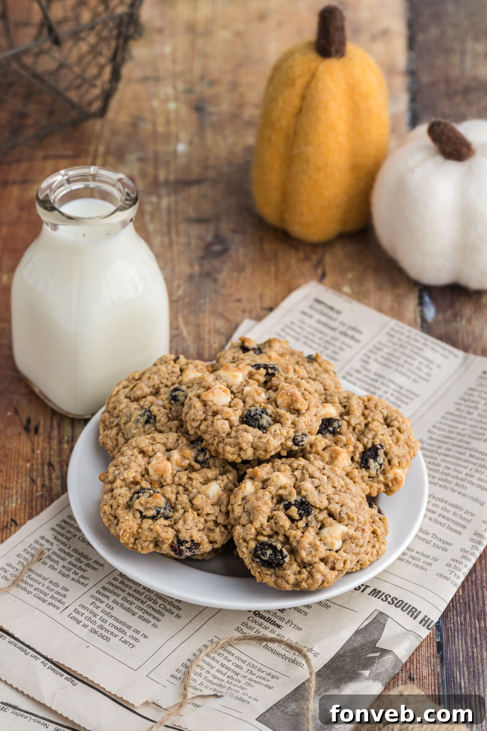 Close-up of quick-cooking oats, key ingredient for oatmeal cookies