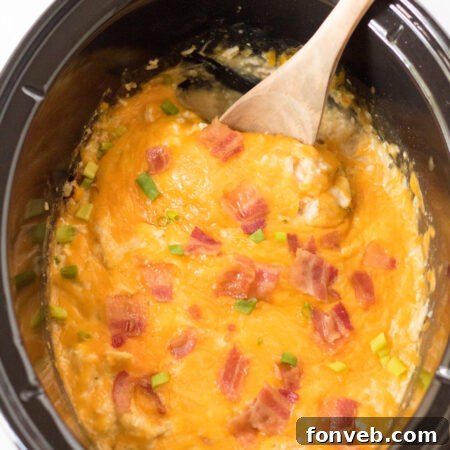 Close-up of Slow Cooker Cheesy Crack Chicken and Rice