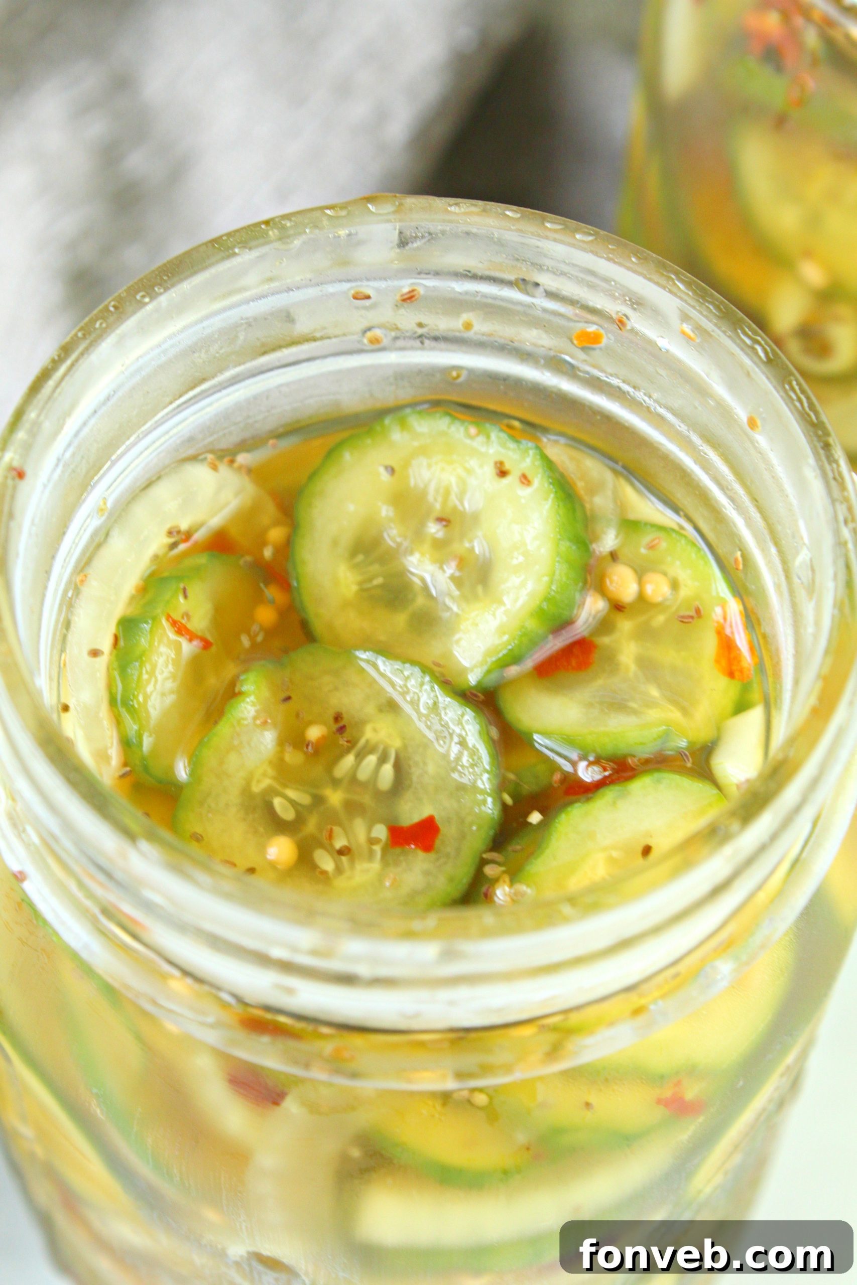 Assortment of fresh ingredients for pickling