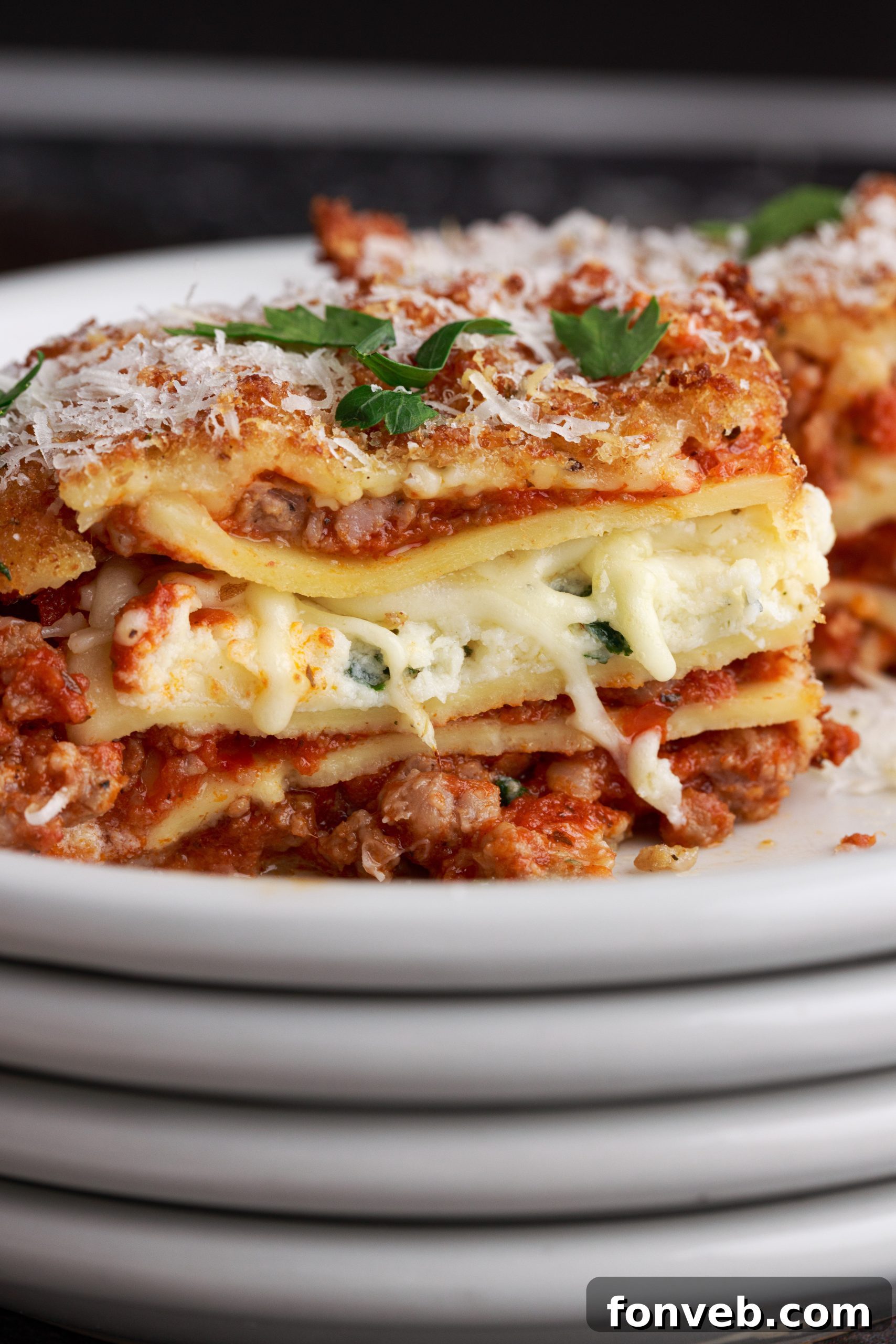 Golden Lasagna Crunch 10 Deep fried lasagna pieces cooling on a rack