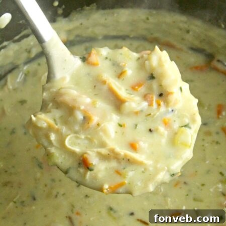 A final beautiful serving of Copycat Panera Chicken & Wild Rice Soup.