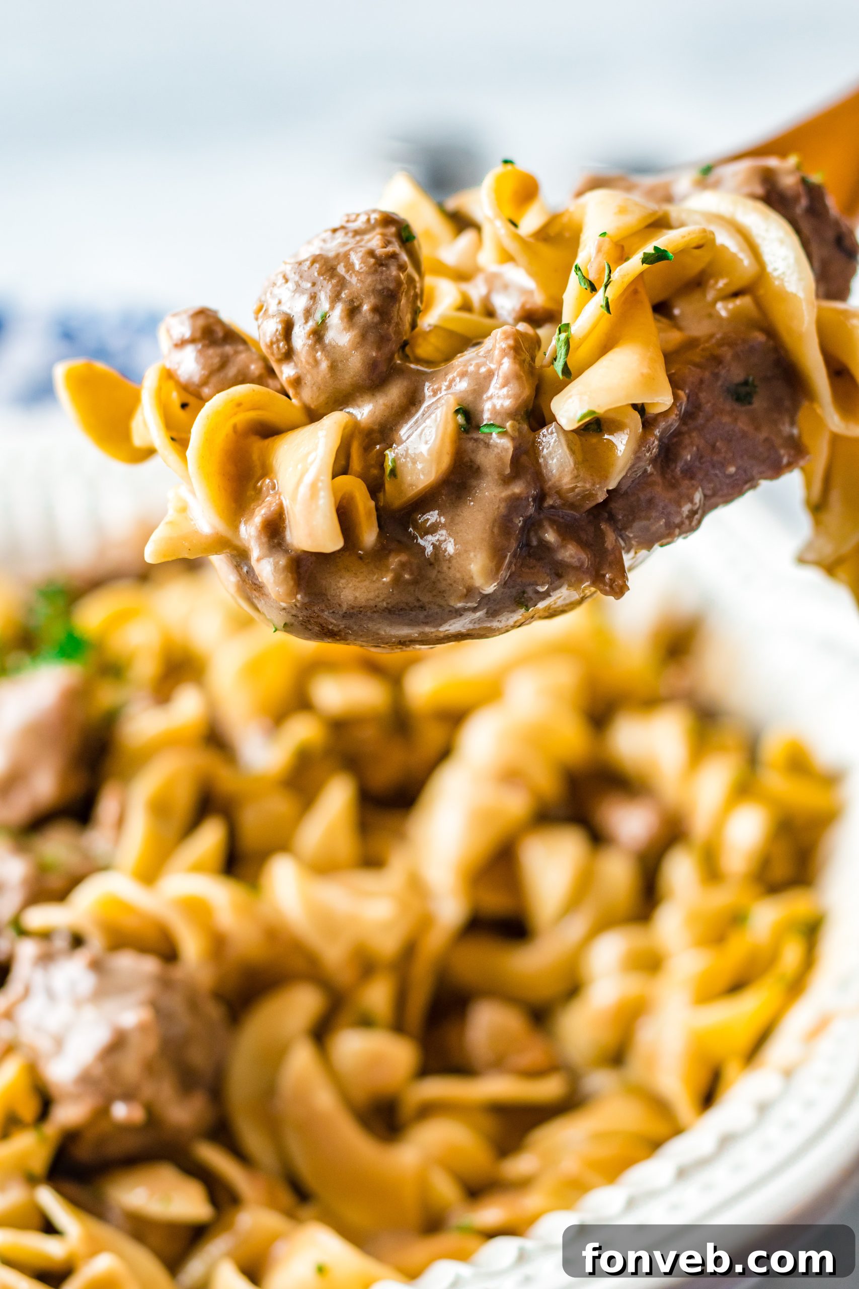Assorted fresh vegetables that can be added to the beef and noodles