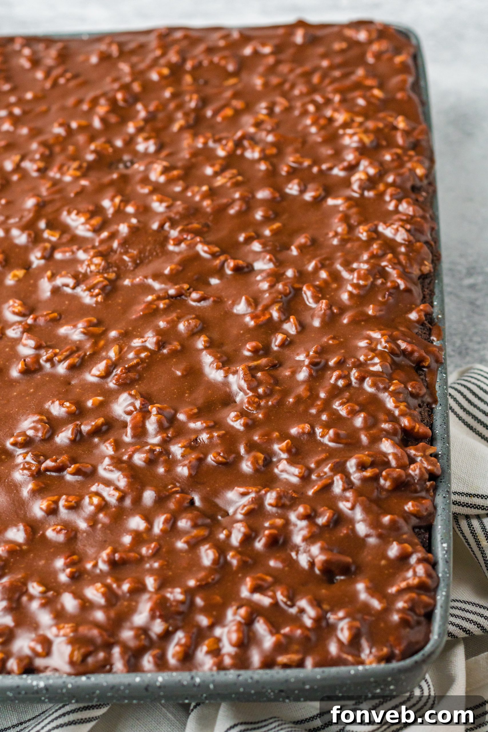 Texas Sheet Cake  up close on a baking pan