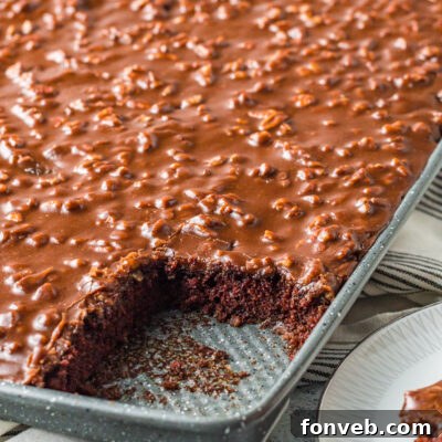 Texas Sheet Cake image