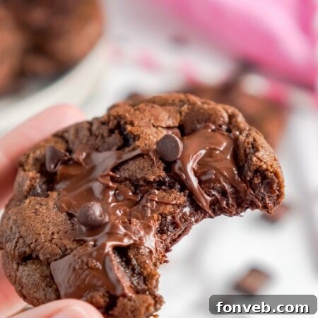 Close-up of a warm, chocolatey triple chocolate cookie
