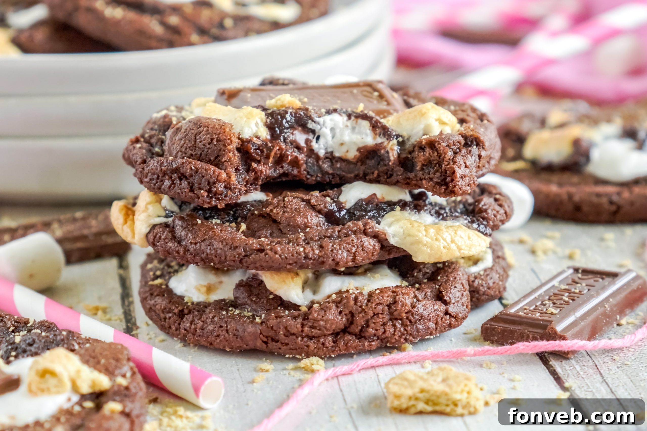 Closeup of melted chocolate and marshmallow on a Hershey's S'mores cookie