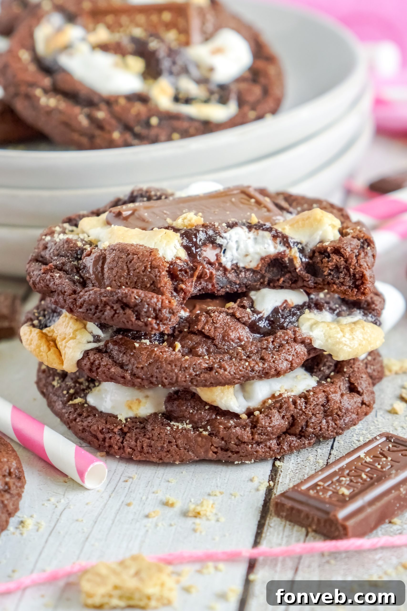 Tray of Hershey's Chocolate S'mores Cookies ready to be served