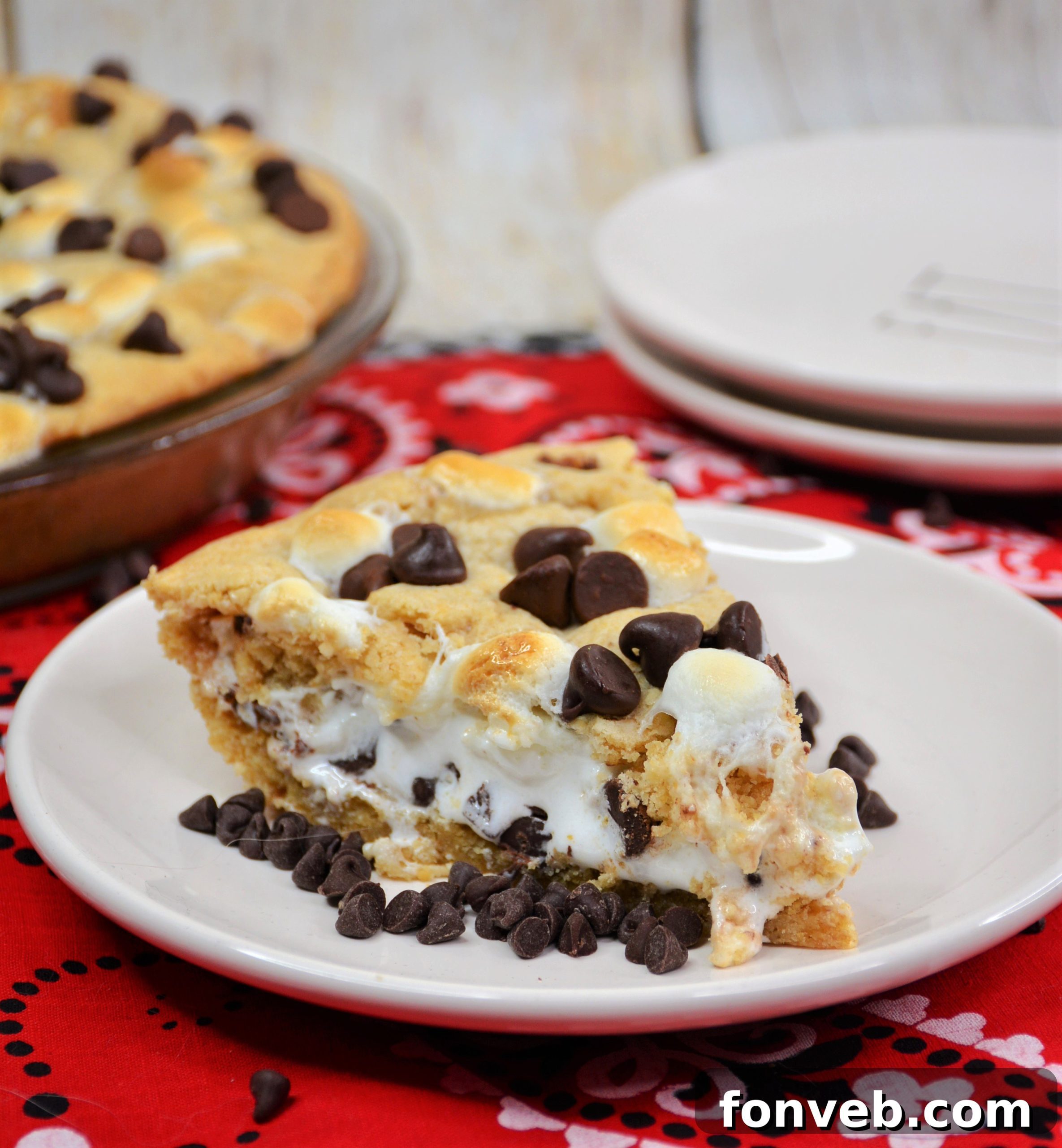 Smores Dream Pie 2 Delicious S'mores Pie with golden toasted marshmallows