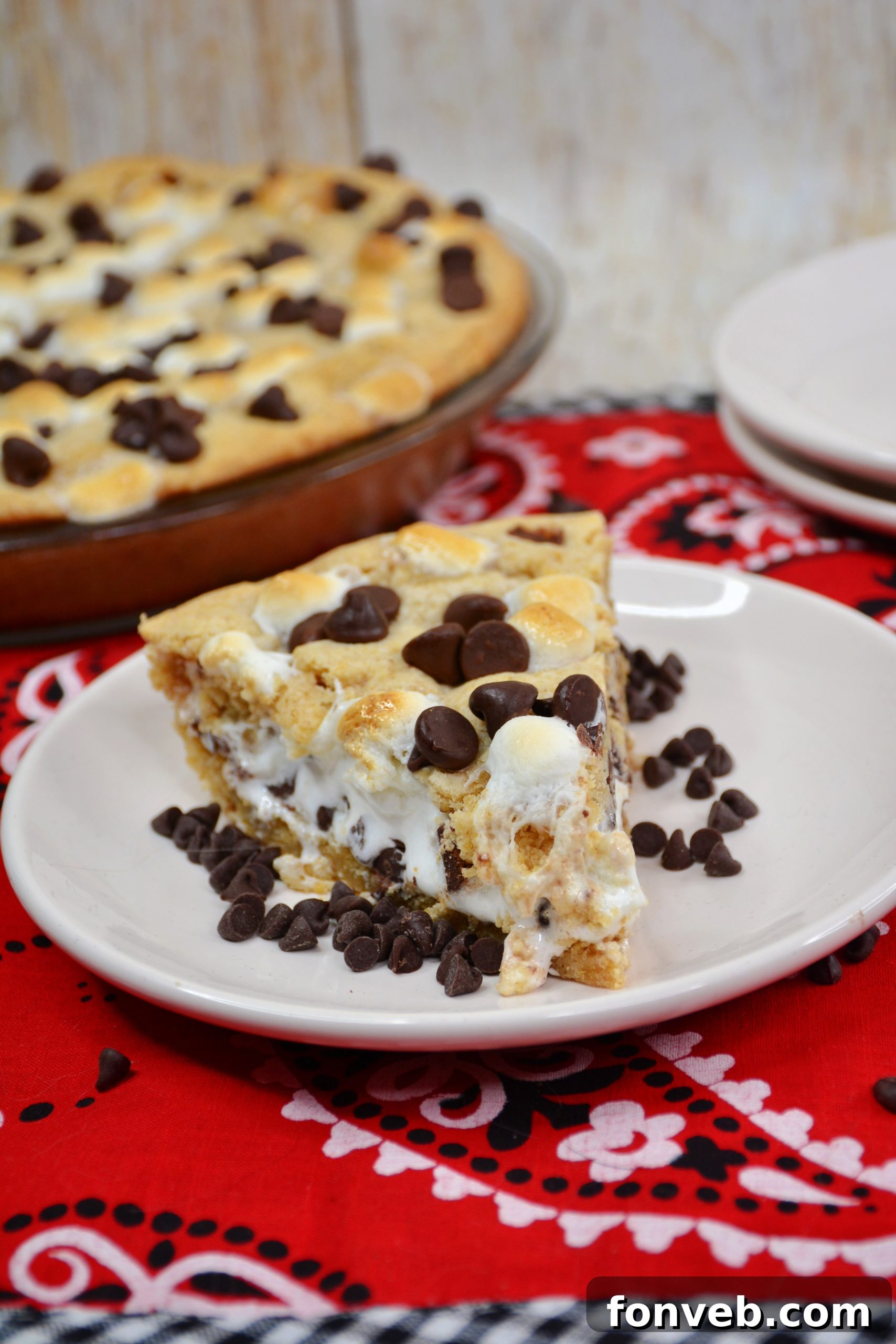 Smores Dream Pie 3 Close-up of S'mores Pie showing gooey chocolate and marshmallow layers