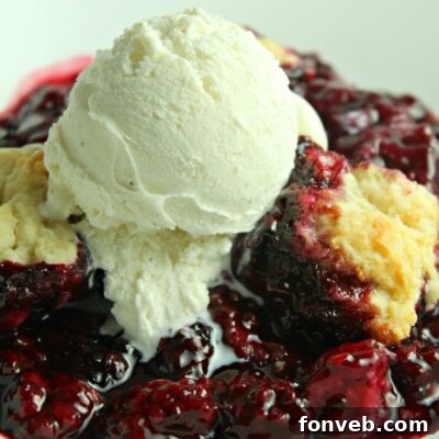 Blackberry Cobbler