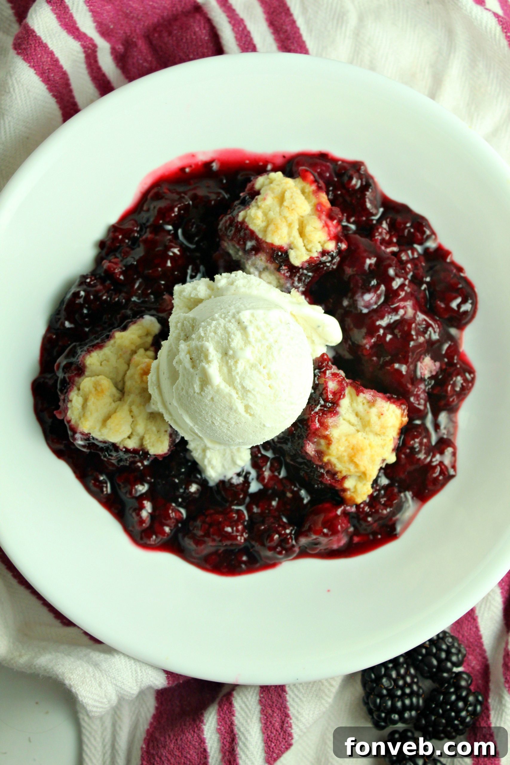 Overhead view of a baking dish filled with blackberry cobbler, freshly baked and golden.