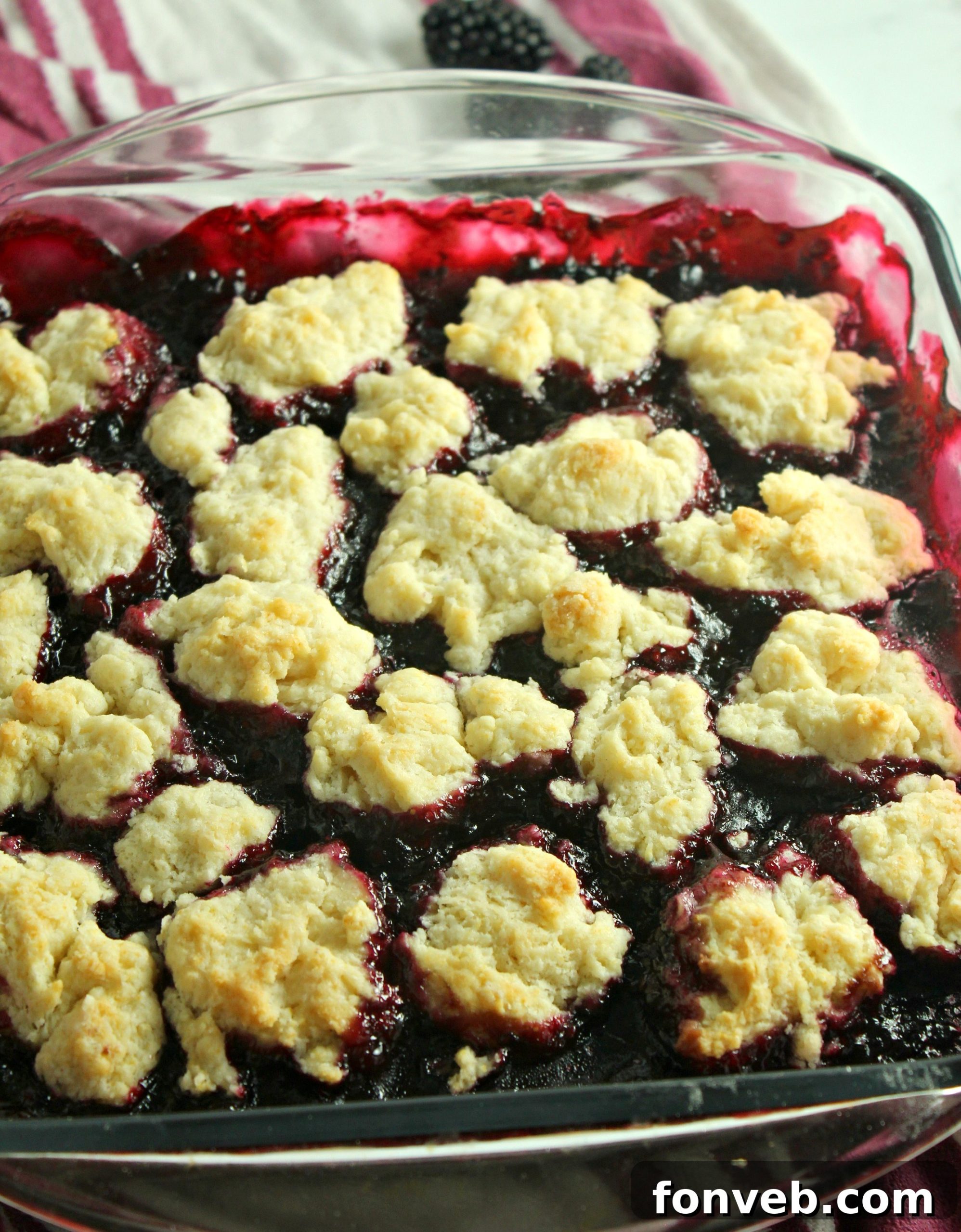 A serving of blackberry cobbler with a dollop of whipped cream and a mint sprig.