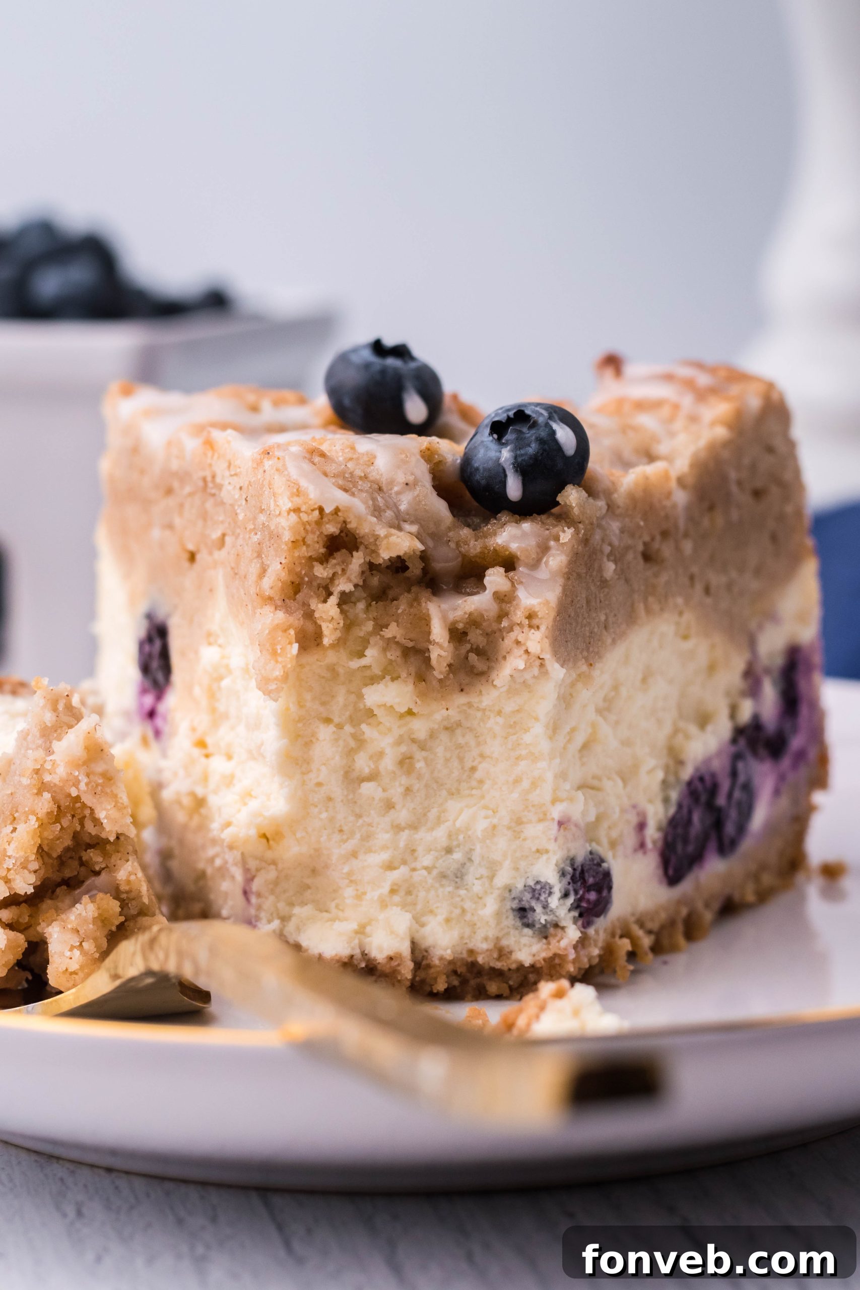 Blueberry Coffee Cake Cheesecake