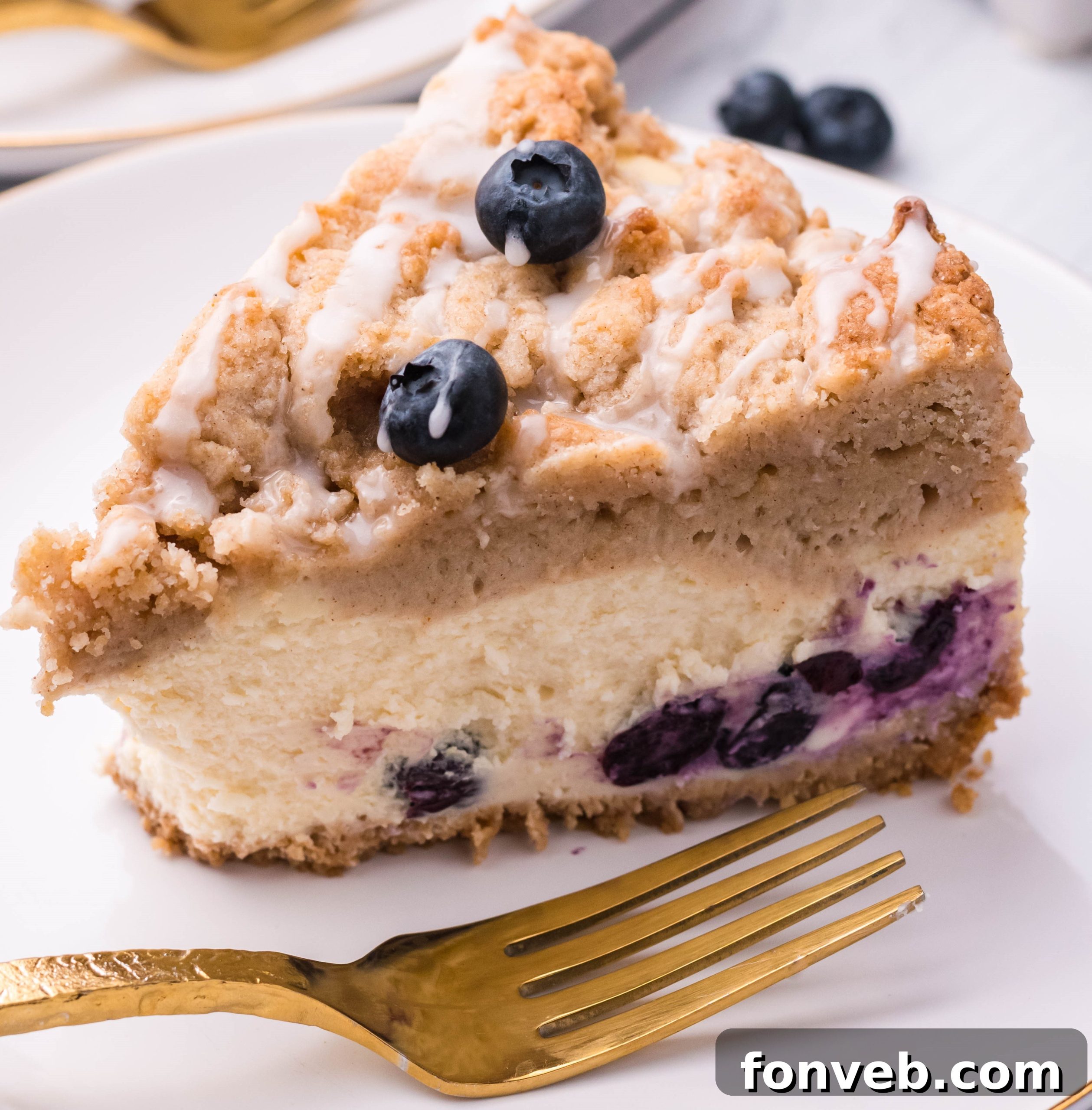 Close up of Blueberry Coffee Cake Cheesecake