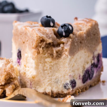 Blueberry Coffee Cake Cheesecake