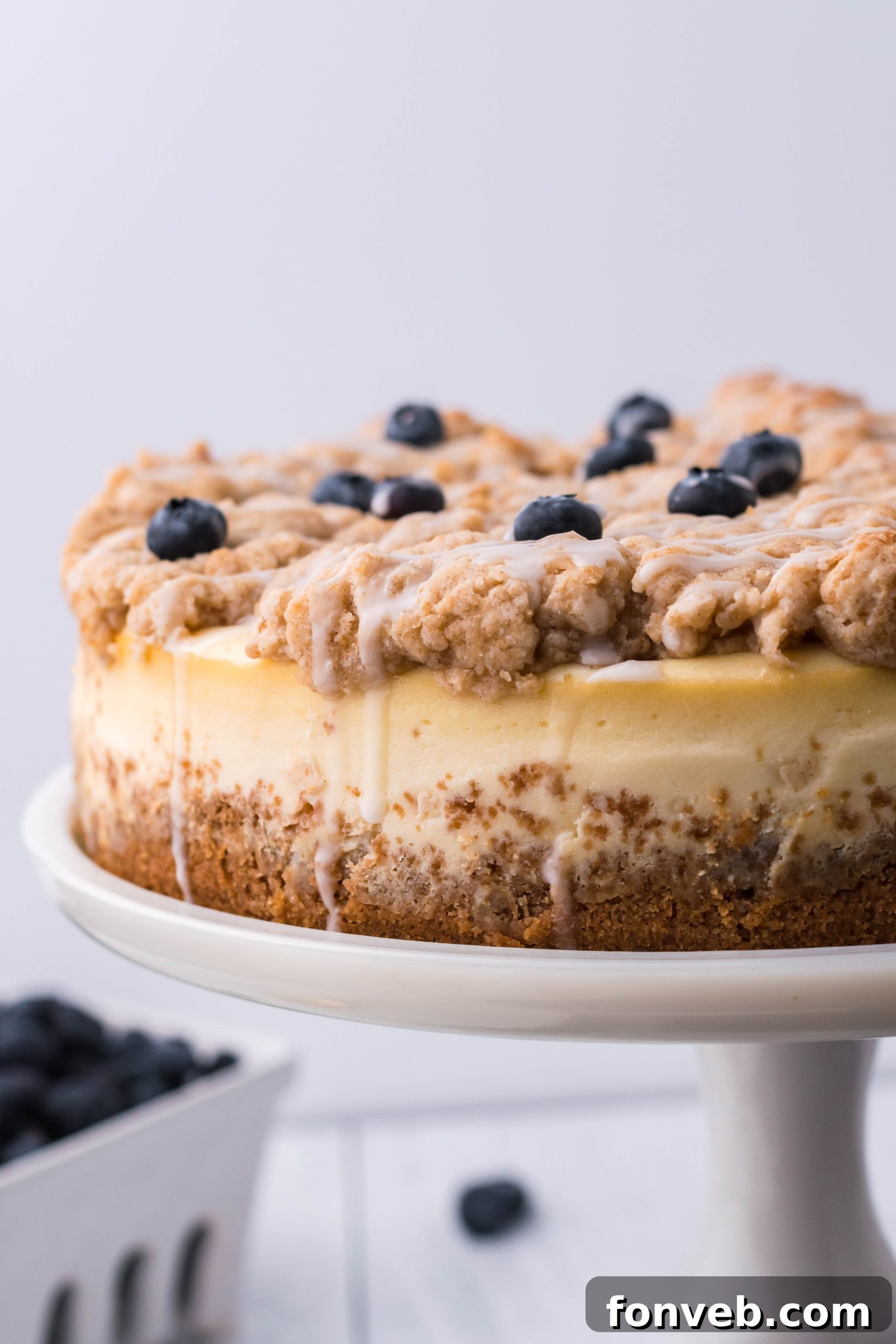 Blueberry Coffee Cake Cheesecake from the side