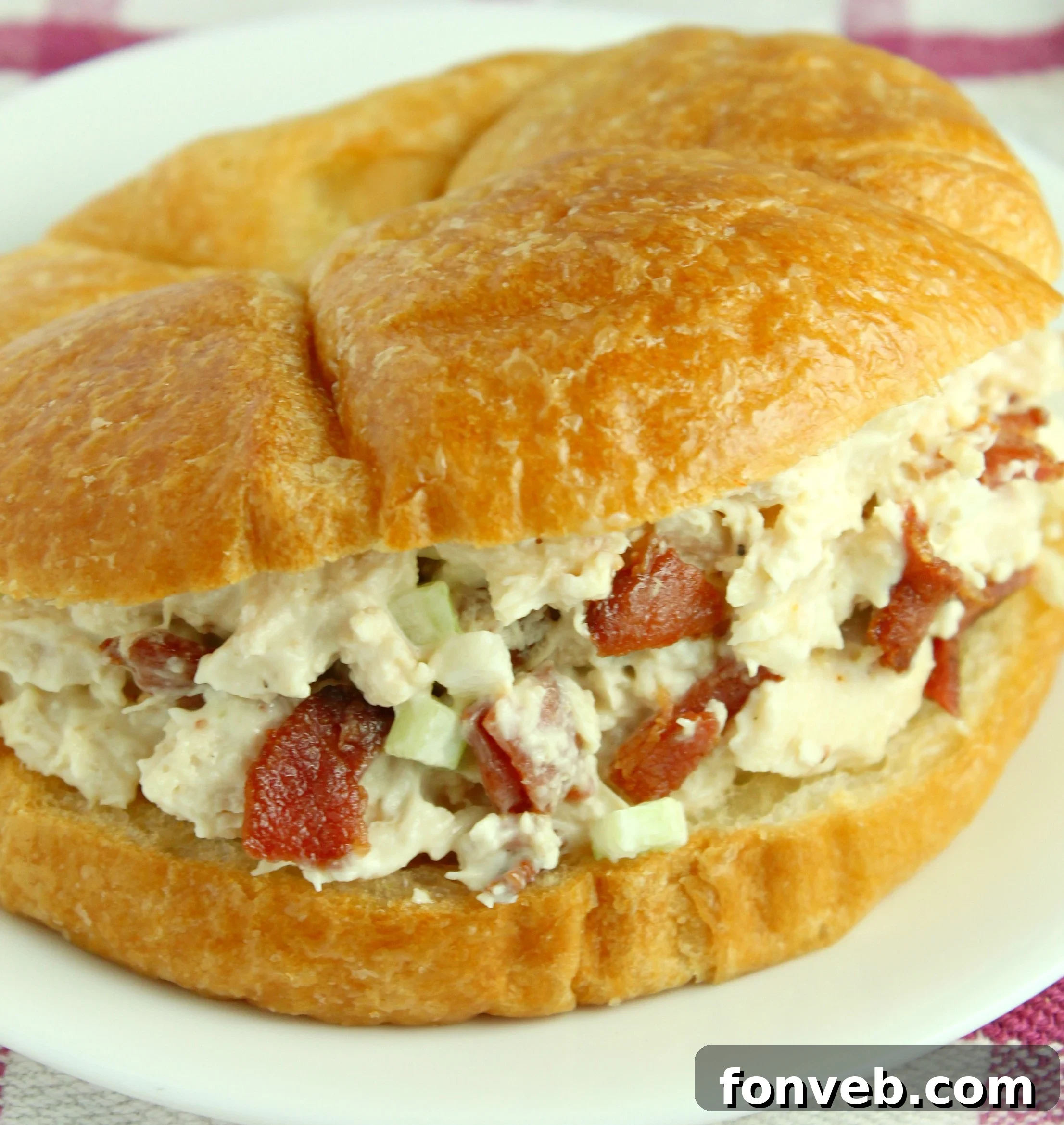 Homemade Willow Tree Bacon Chicken Salad 4 Freshly made Willow Tree Chicken Salad with bacon on a plate with crackers