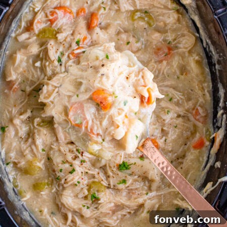 A close-up of a bowl of delicious Slow Cooker Chicken and Dumplings