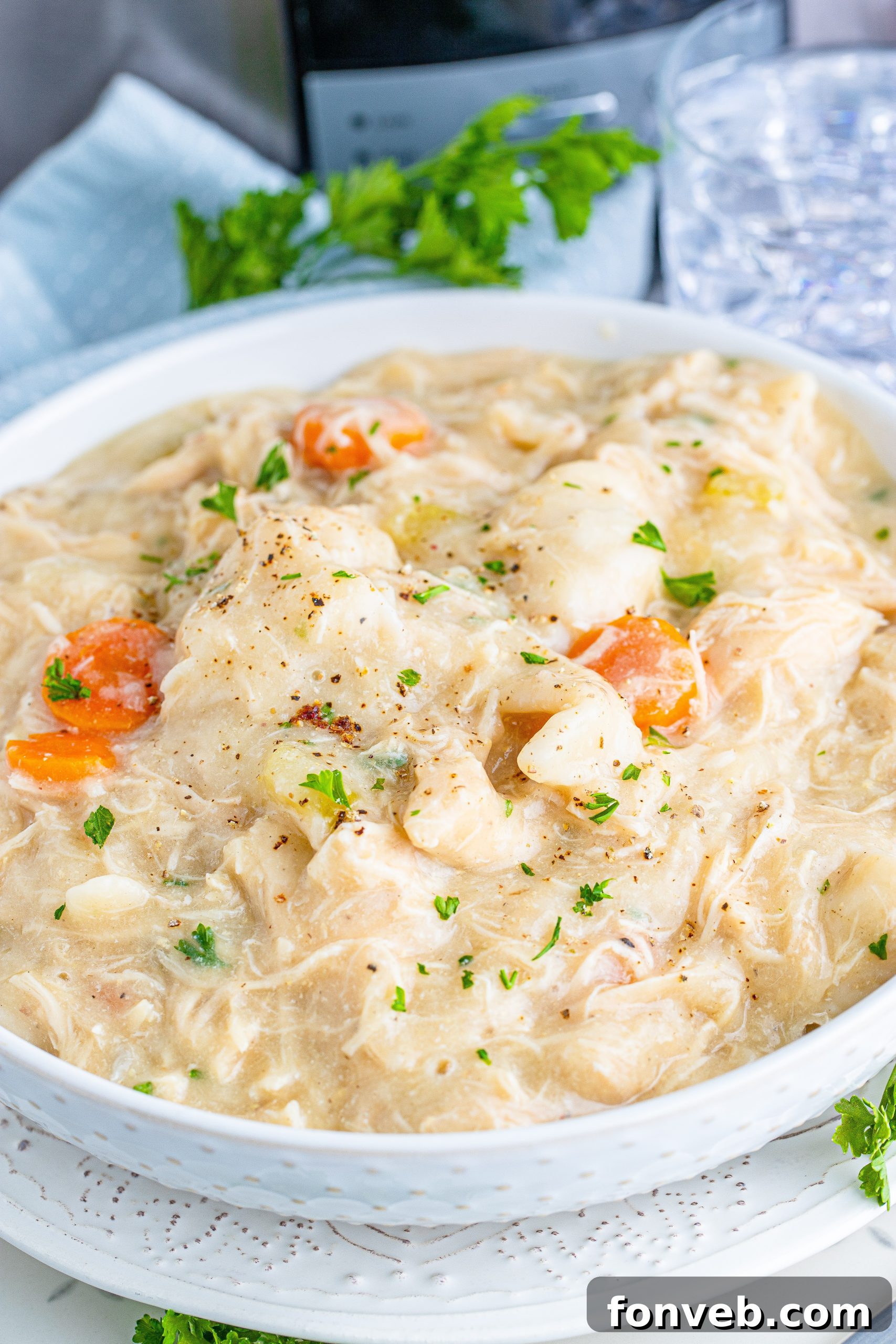 A bowl of Slow Cooker Chicken and Dumplings garnished with fresh parsley, ready to be enjoyed