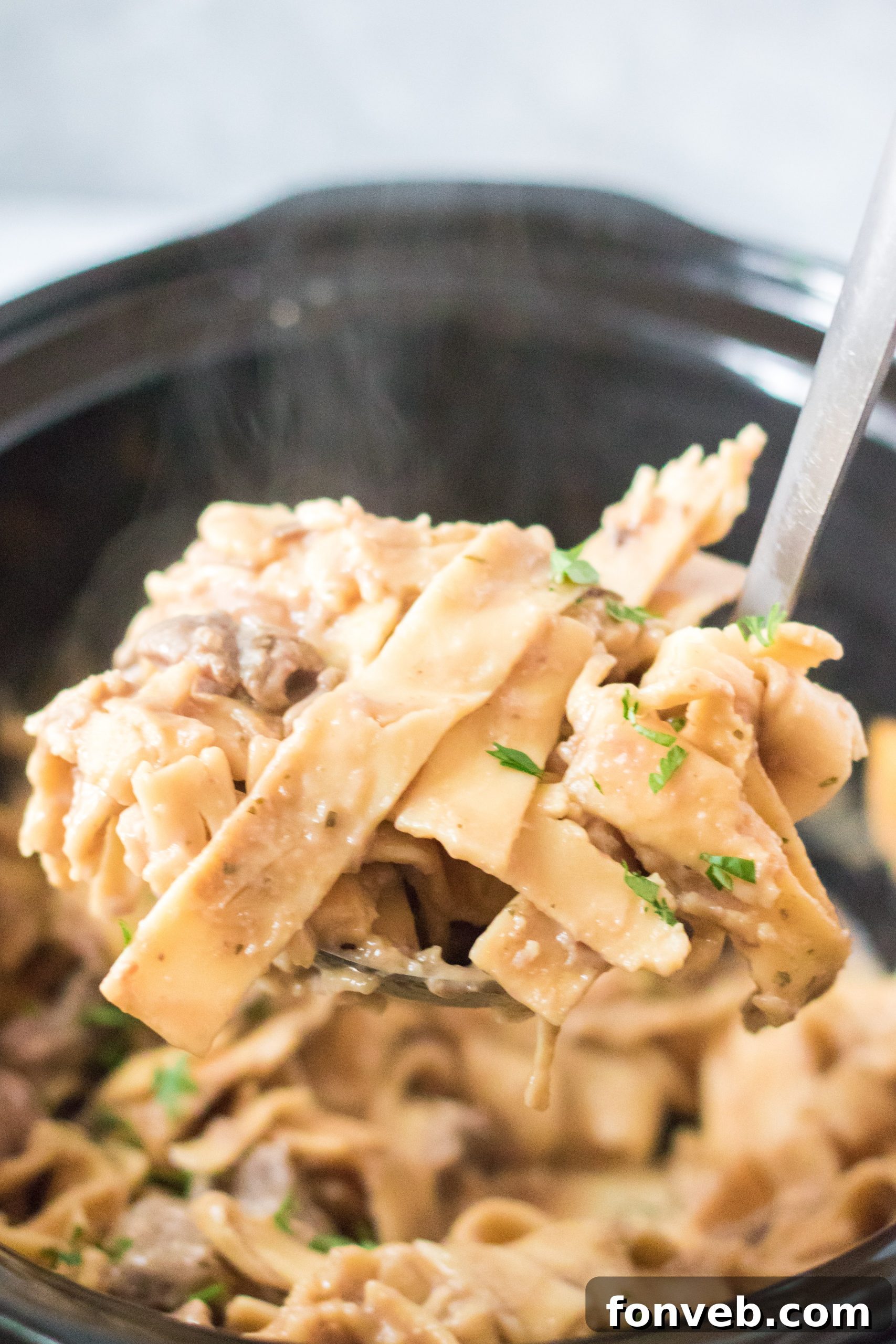 Crock Pot Beef & Noodles plated with a serving spoon