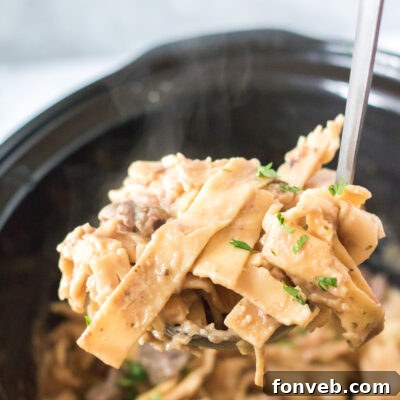 Crock Pot Beef & Noodles in a serving bowl