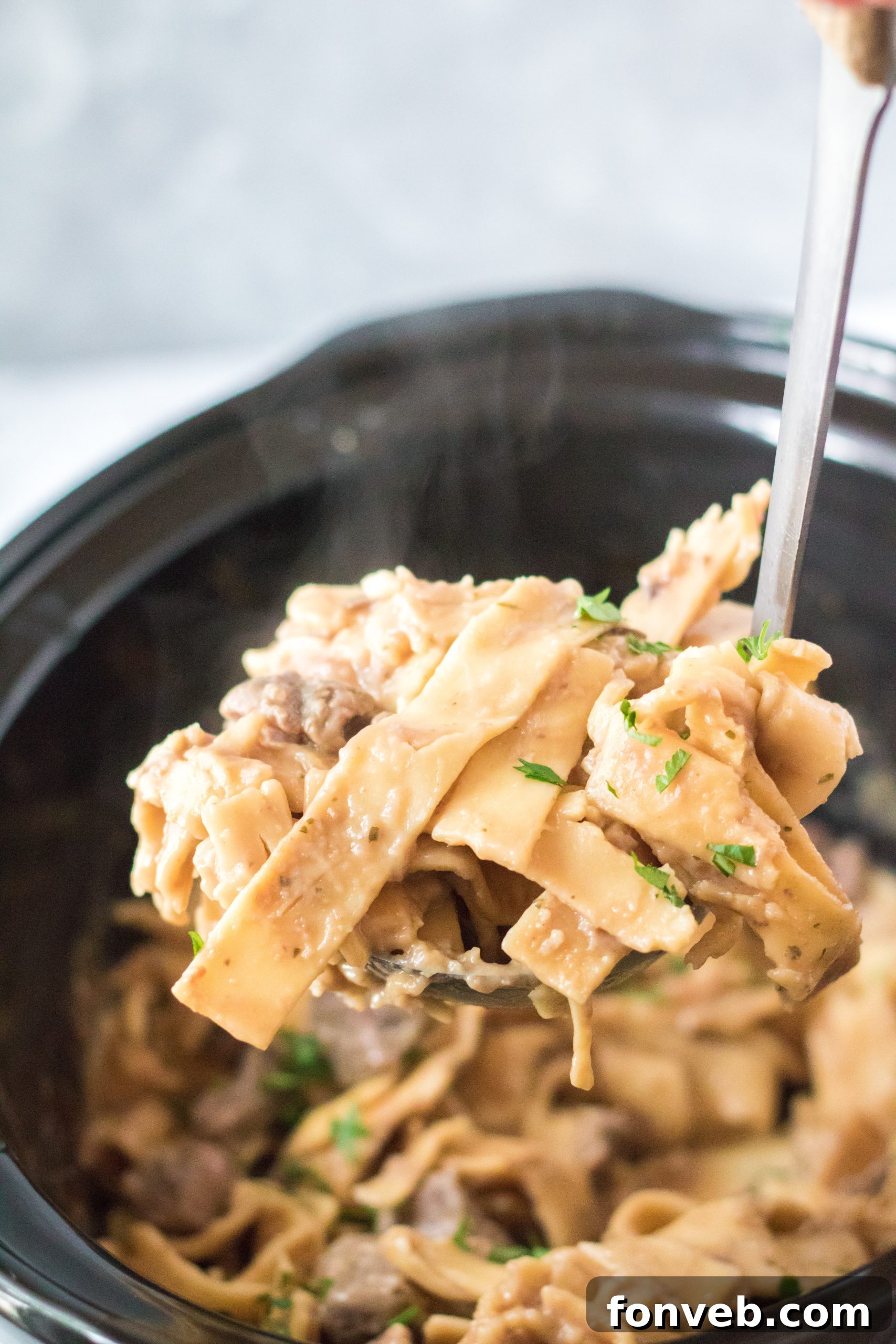 Overhead shot of Crock Pot Beef & Noodles in a slow cooker