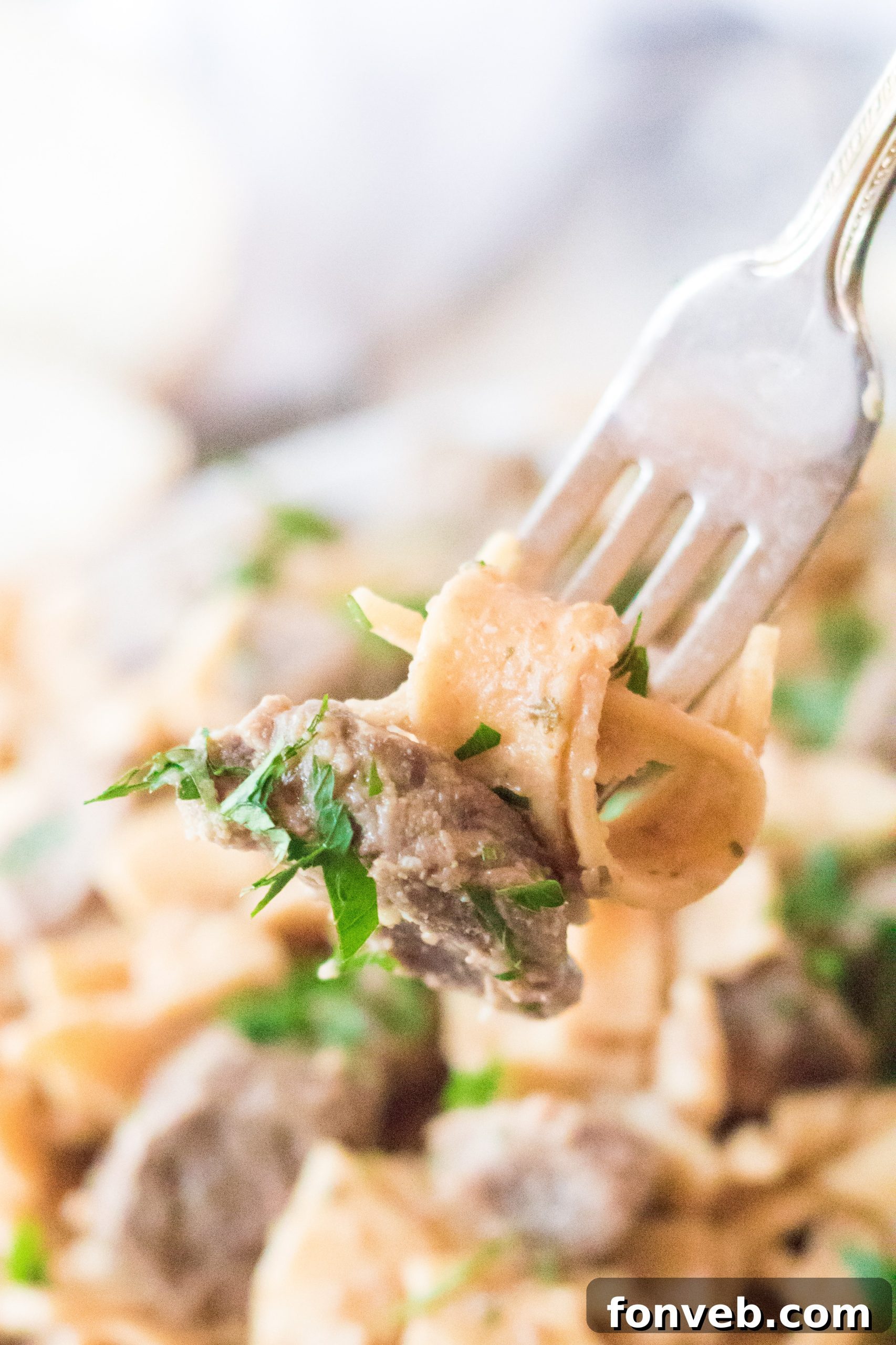 A bowl of Crock Pot Beef & Noodles ready to be eaten