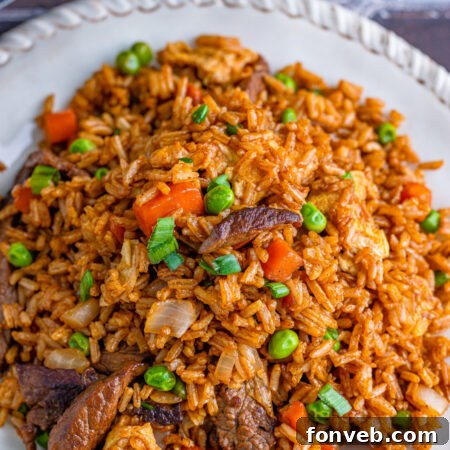 A visually appealing hero shot of the finished Beef Fried Rice dish.