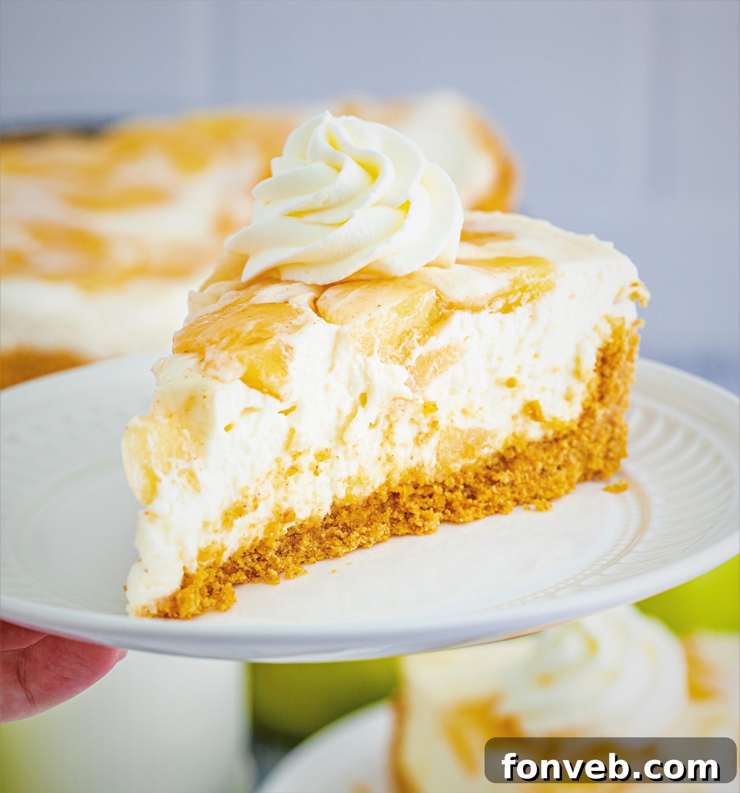 Chilled Apple Pie Cheesecake 14 A No Bake Apple Cheesecake slice with a generous topping of whipped cream.