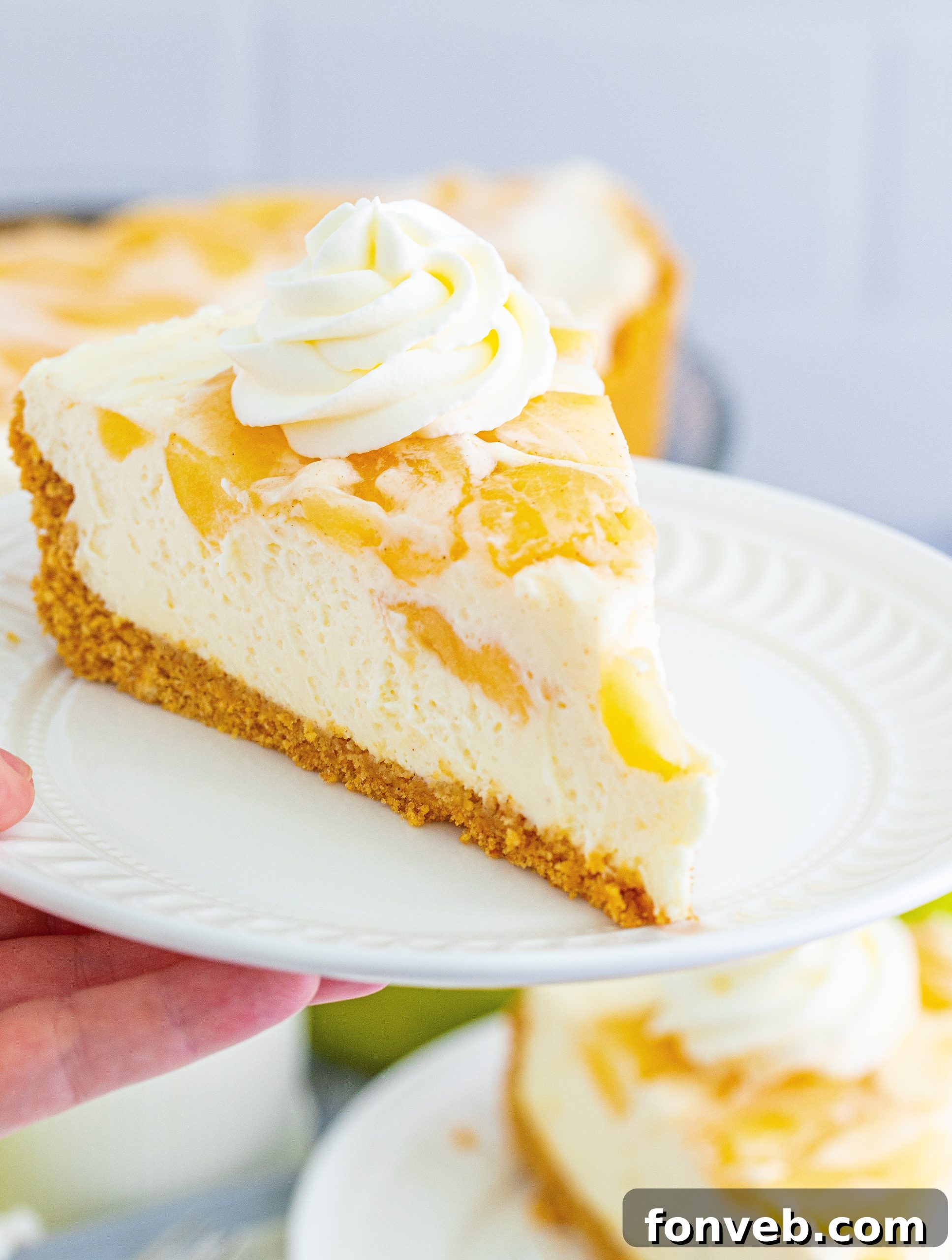 Chilled Apple Pie Cheesecake 6 A close-up of the creamy cheesecake filling with visible apple chunks.