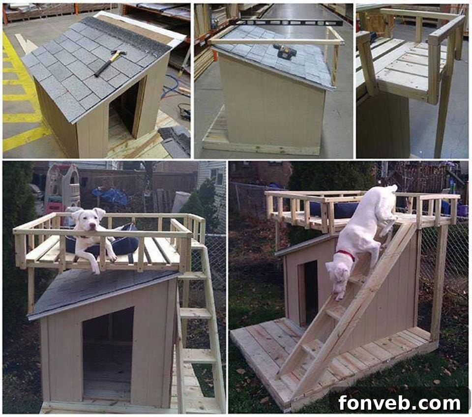 DIY Dog House with a Roof-Top Deck