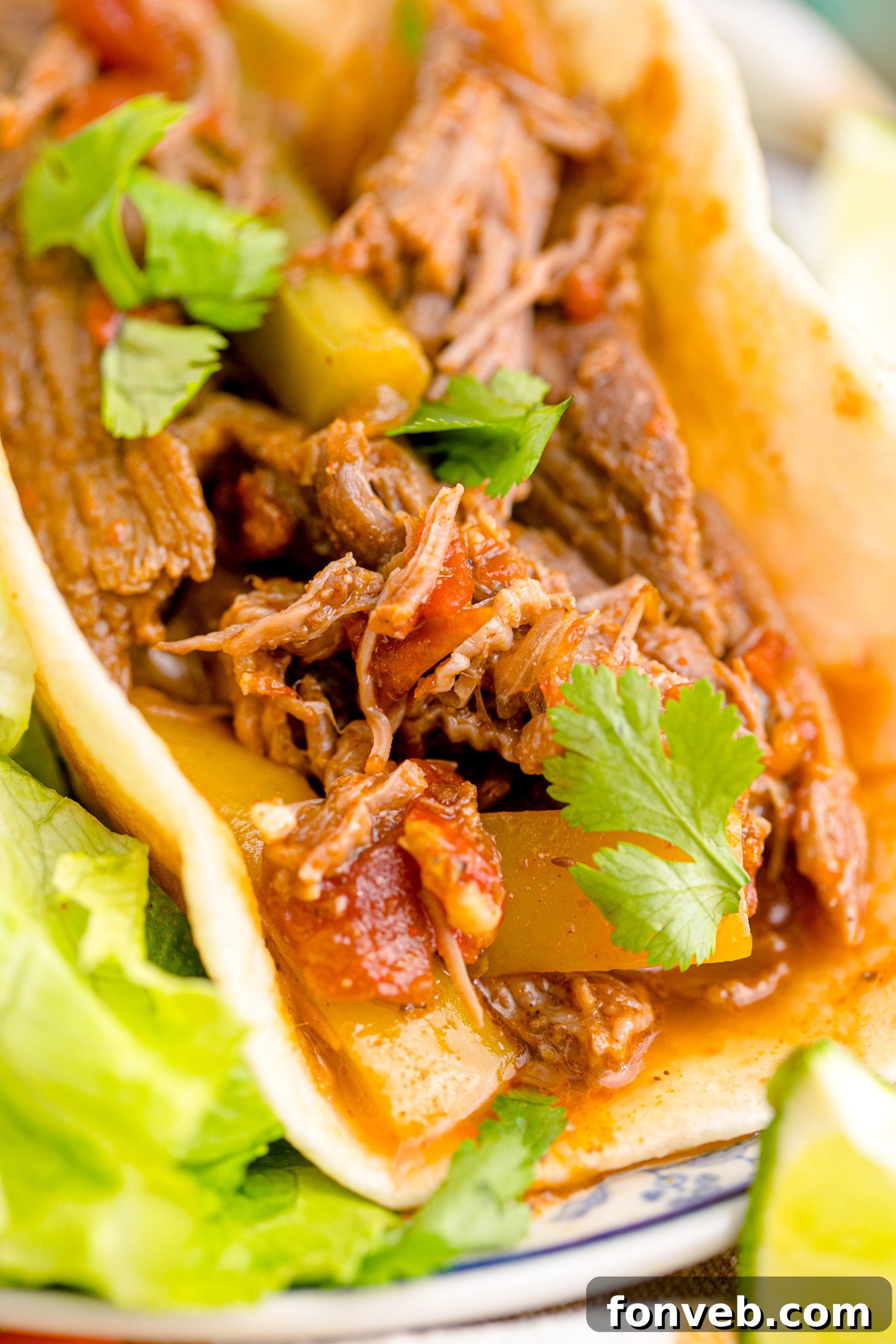 Steak Fajitas wrapped in a tortilla with lettuce piled next to it